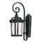 Maxim Dover LED 1-Light 9.25" Wide Bronze Outdoor Wall Sconce 55024CDBZ